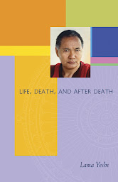 Icon image Life, Death and After Death