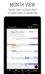 Business Calendar 2 Pro Screenshot