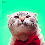 Cover Image of Baixar 카카오톡 테마 - 낼름 리본 고양이 (카톡테마)  APK