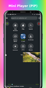 Cast to TV/Chromecast/Roku/TV+ For PC 3