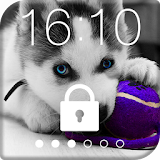 Husky Puppy HD Free PIN Lock icon