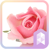 The Rose Theme: Free Wallpaper icon