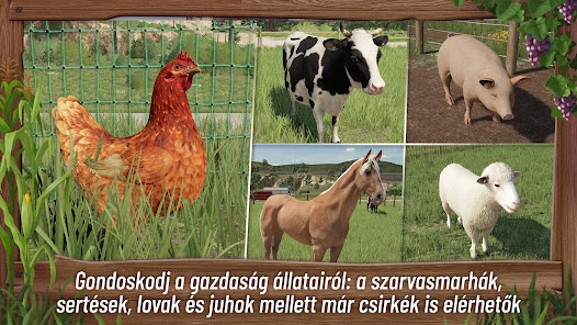 Képernyőkép