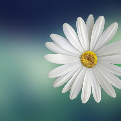 HD Nature Wallpapers logo