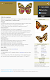 screenshot of Butterflies: Encyclopedia