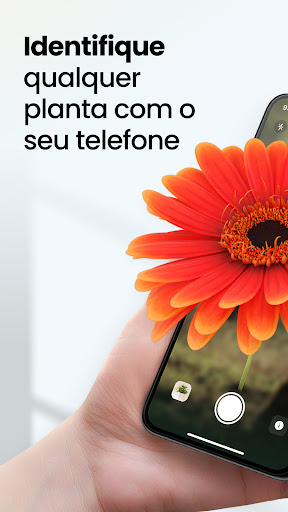 Visualização do aplicativo