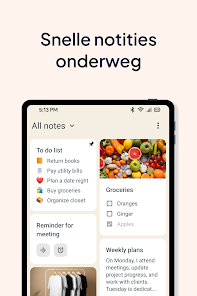 Screenshotafbeelding