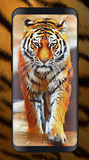 Tiger Wallpapers Offline Screen 3