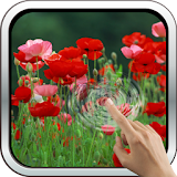 Red Poppies 3D Wallpaper icon