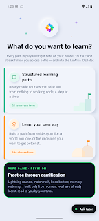 LoWisa: AI Coding Tutor screenshot 2