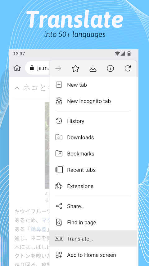 Kiwi Browser - Fast & Quietのおすすめ画像4