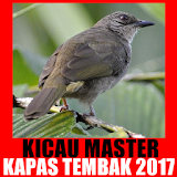 Kicau Master Kapas Tembak 2017 icon