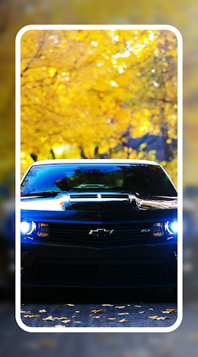 Chevrolet Car Wallpaper