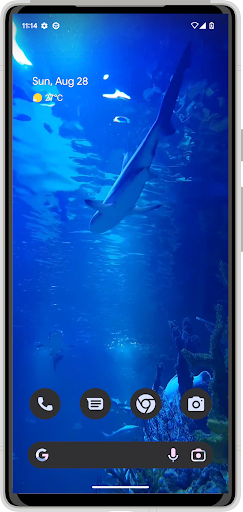 White Shark HD Video Wallpaper Screen 2