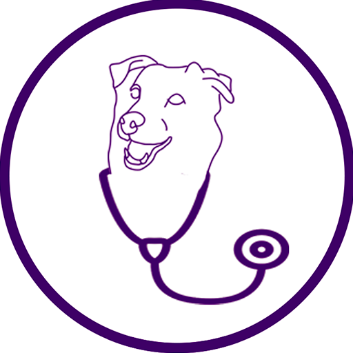Citas logo