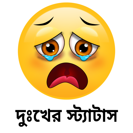 Sad Status Bangla - দুঃখ