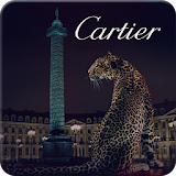 Cartier Meeting Spring 2014 icon