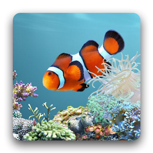 Anipet Marine Aquarium Hd Google Play のアプリ