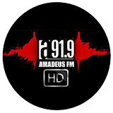 Radio Amadeus 91.9 icon