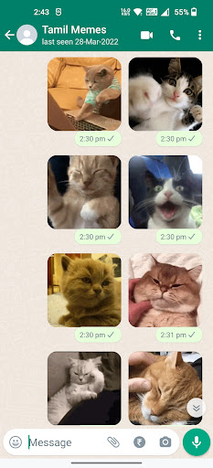 Cat Animated Stickers Screen 2