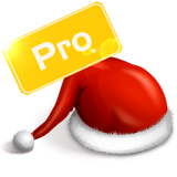 Christmas Recipes Pro icon