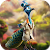Kavi Games