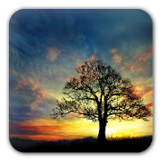 Top 40 Personalization Apps Like Sunset Hill Free LiveWallpaper - Best Alternatives