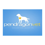 Pendragon Mobile icon