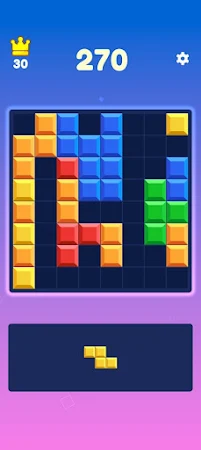 Game screenshot Block Puzzle Game hack