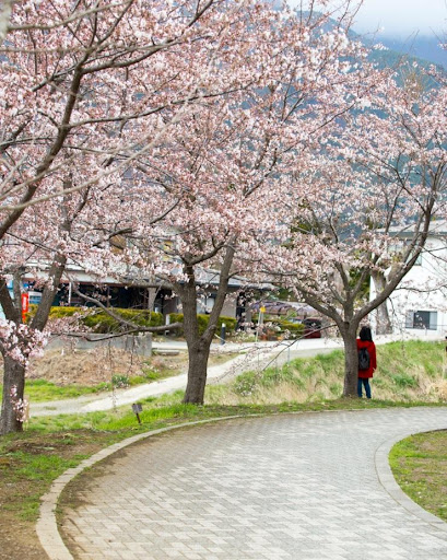 Beautiful Spring Wallpaper