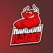 Narodni radio BiH