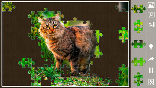 Jigsaw puzzles for everyone 18