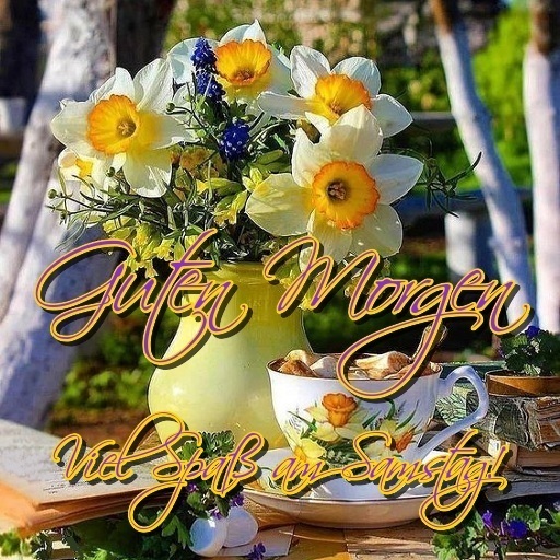 Guten Morgen Samstag logo