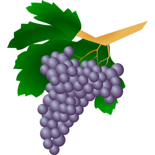 Grape varieties 80.91.30 Icon