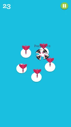 Dart Master - Screenshot 4