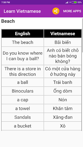 Learn Vietnamese Screen 3