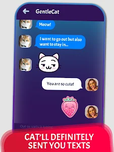 Cat Fake Video Calls and Chat