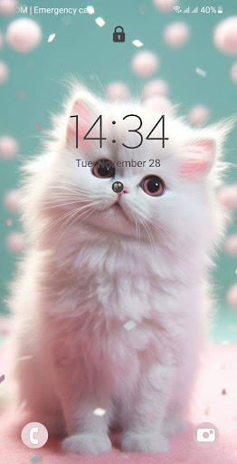 Android application Kittens Wallpaper HD screenshort