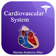 Cardiovascular System Anatomy Atlas (Offline)