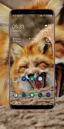 Fox Wallpaper Screen 3