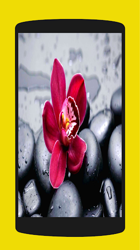 Android application Orchid Wallpapers screenshort