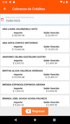 Marjo - Admin. de Créditos Screen 2
