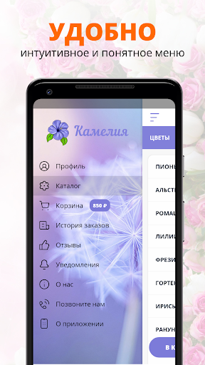 Камелия | Владимир Screen 2