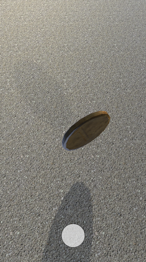 Coin Flip 3D - Toss It! Screen 2