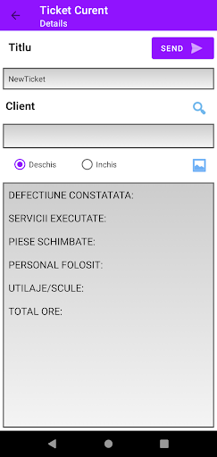 ProsoftDanielTicket Screen 3