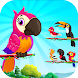 Bird Sort Color: Budgie Puzzle - Androidアプリ