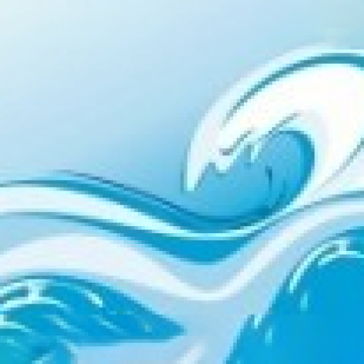 SWOC FFC logo
