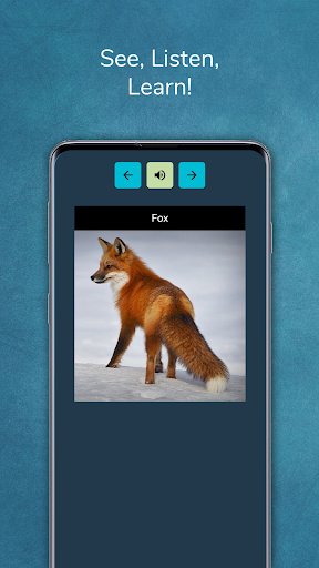 Android application Phrasebook Learn Languages screenshort