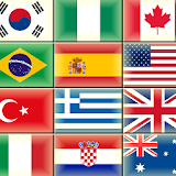 The flags of the world icon
