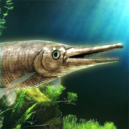 稚魚から育てるアリゲーターガー Google Play のアプリ